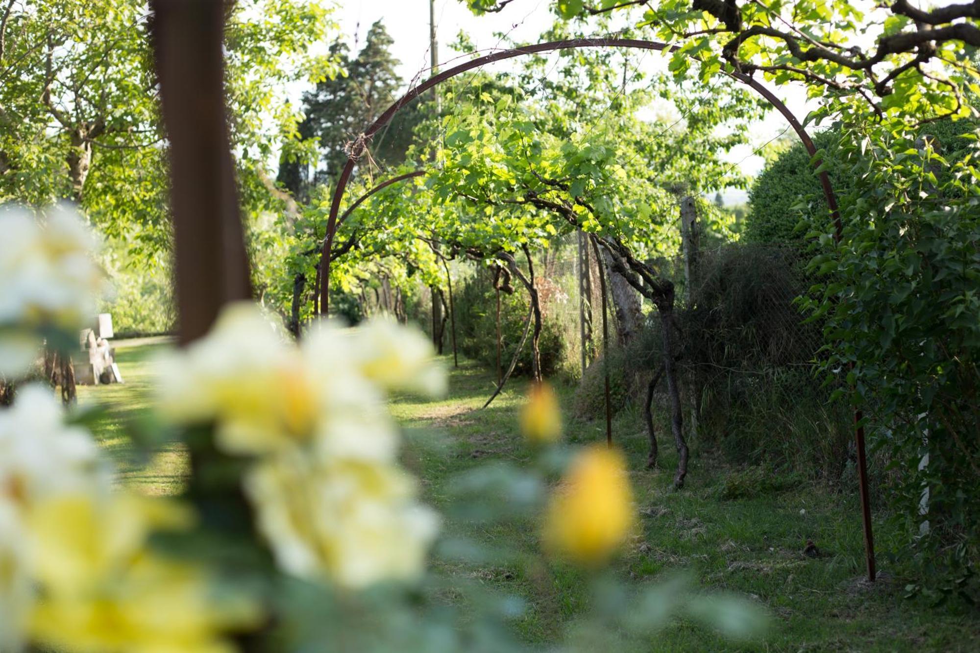 Villa Campo Di Fiore أريتسو المظهر الخارجي الصورة